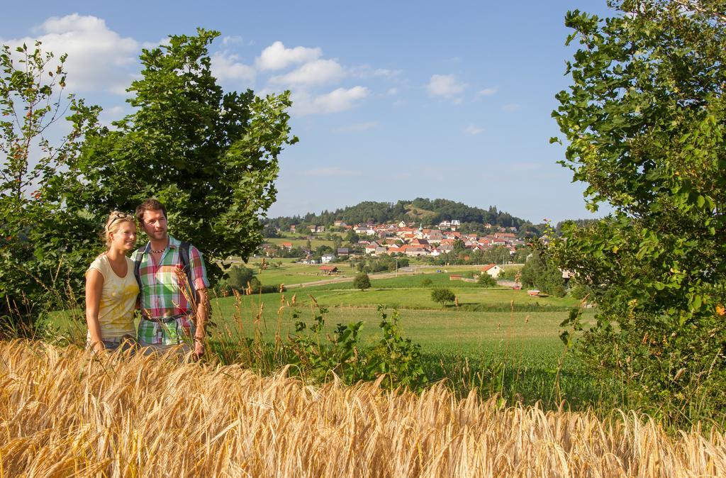 Zum Schwarzen Baeren Hotel Vohenstrauss Luaran gambar