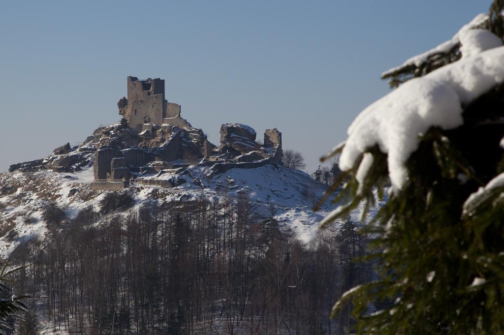 Zum Schwarzen Baeren Hotel Vohenstrauss Luaran gambar